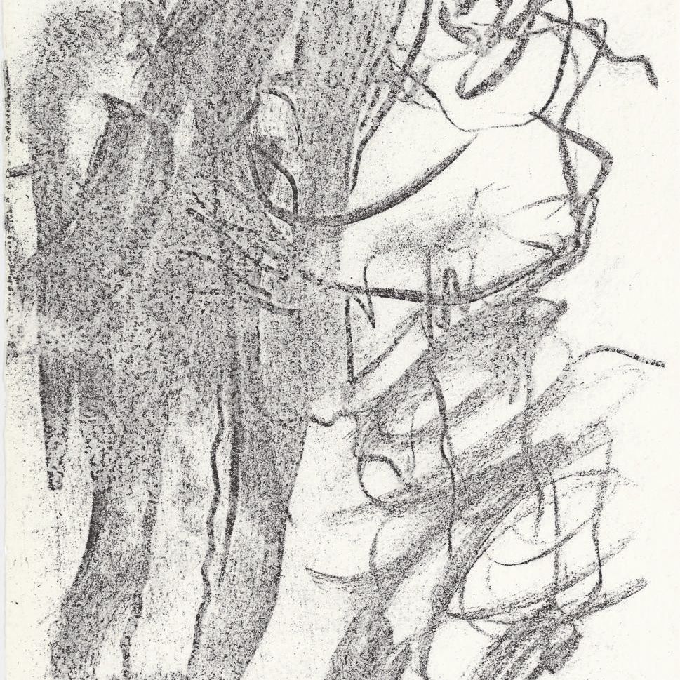 Willem de Kooning — Без названия
