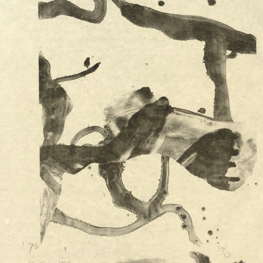Willem de Kooning — Сувенир из Монтока (G. 9)