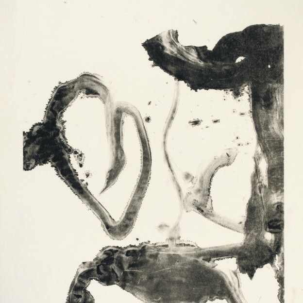 Willem de Kooning — Валентин (Грэм, 16 лет)