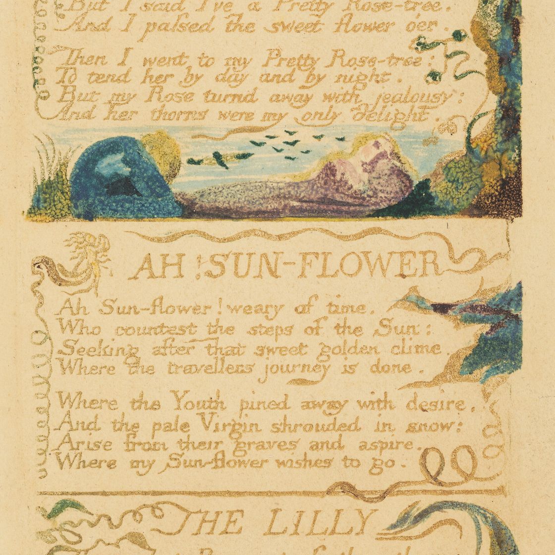 William Blake — Моя прелестная РОЗА, АХ, СОЛНЕЧНЫЙ ЦВЕТОК, ЛИЛИЯ, из "Песен опыта", изображение 1