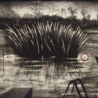 William Kentridge — Тростник