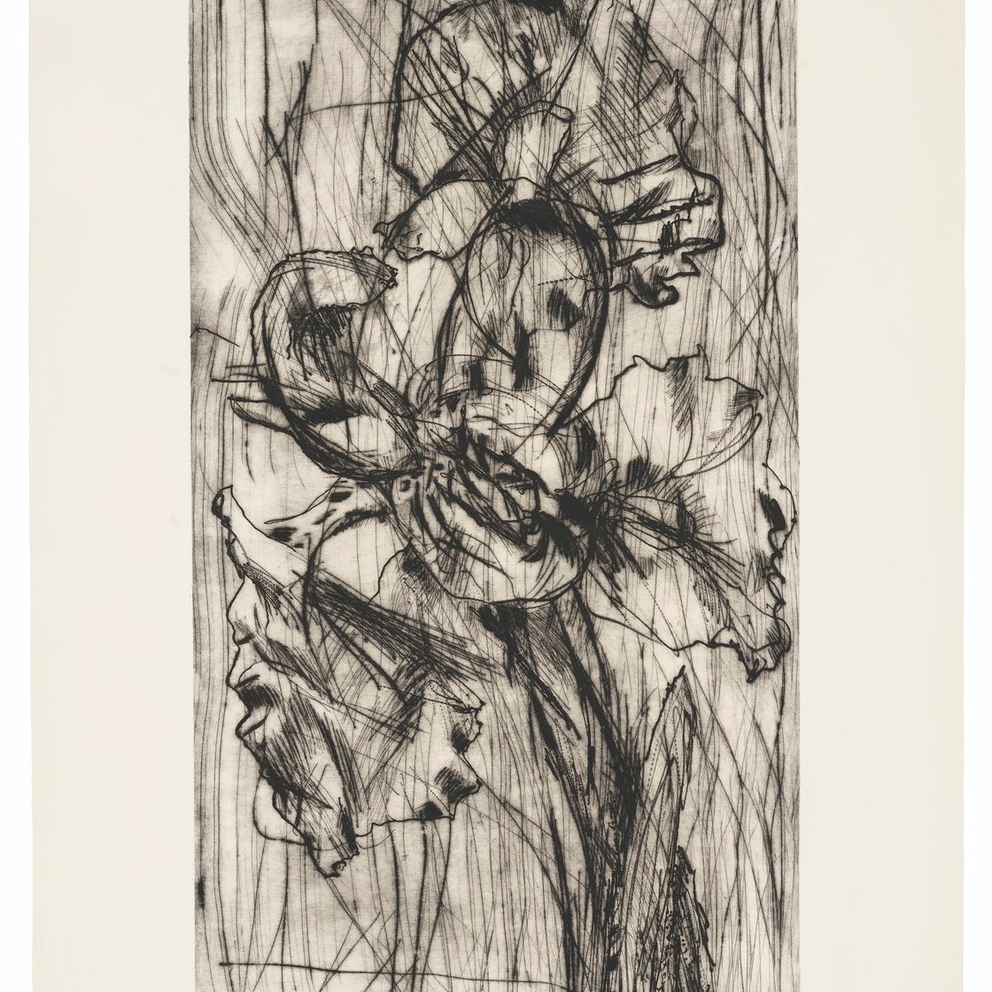 William Kentridge — Голландский Ирис (пробное доказательство J)
