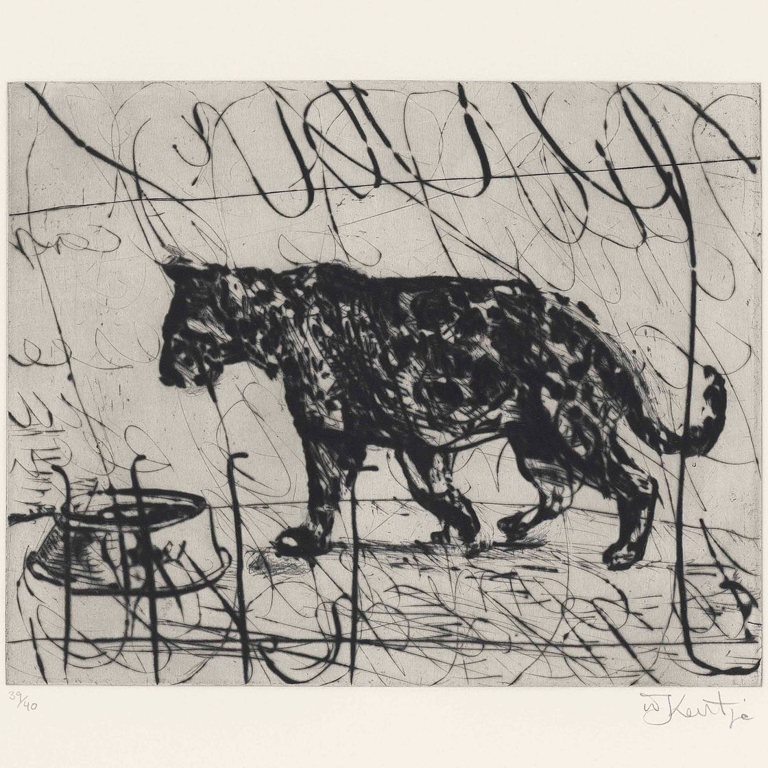 William Kentridge — Шагающая пантера (Крут, стр. 133)