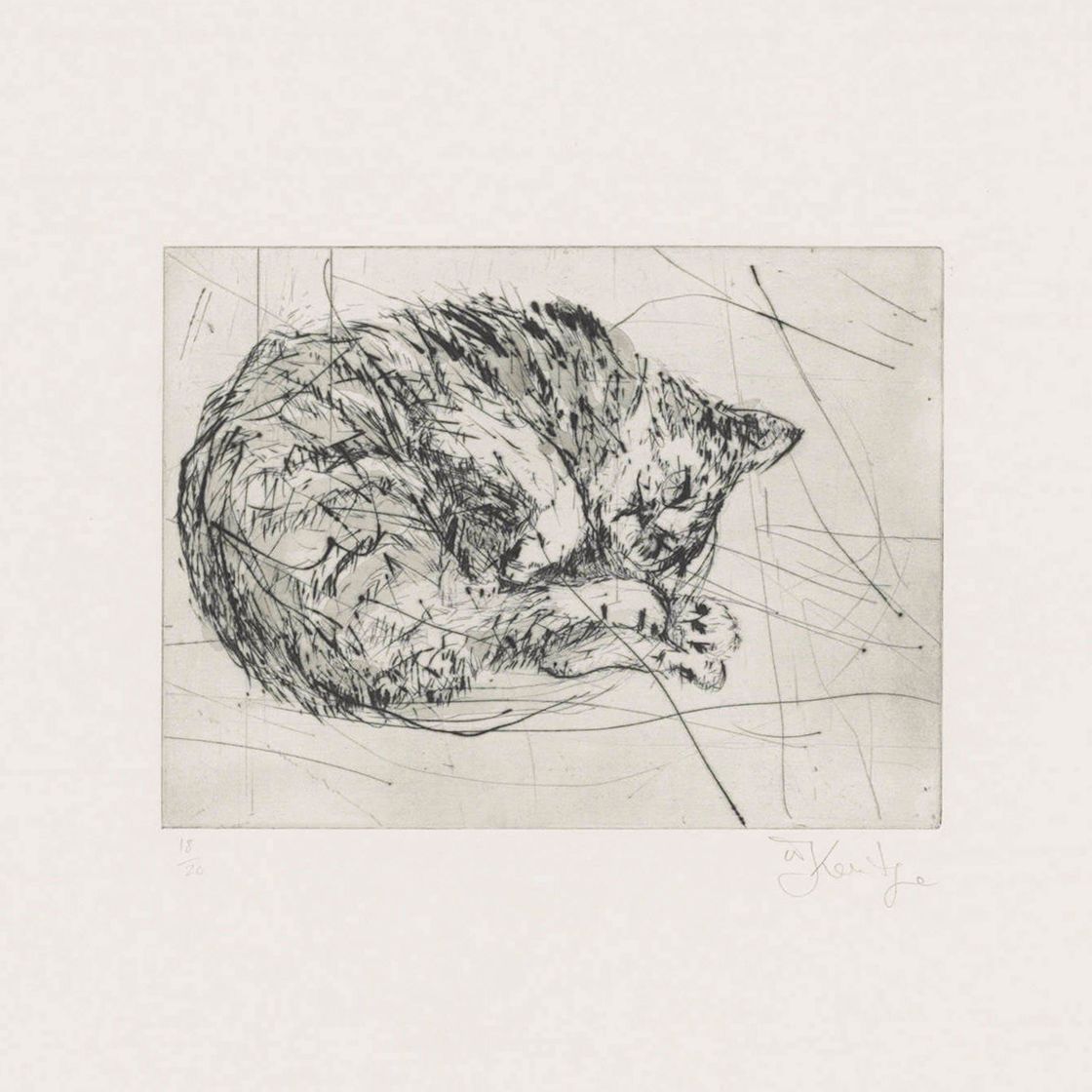 William Kentridge — Кошка