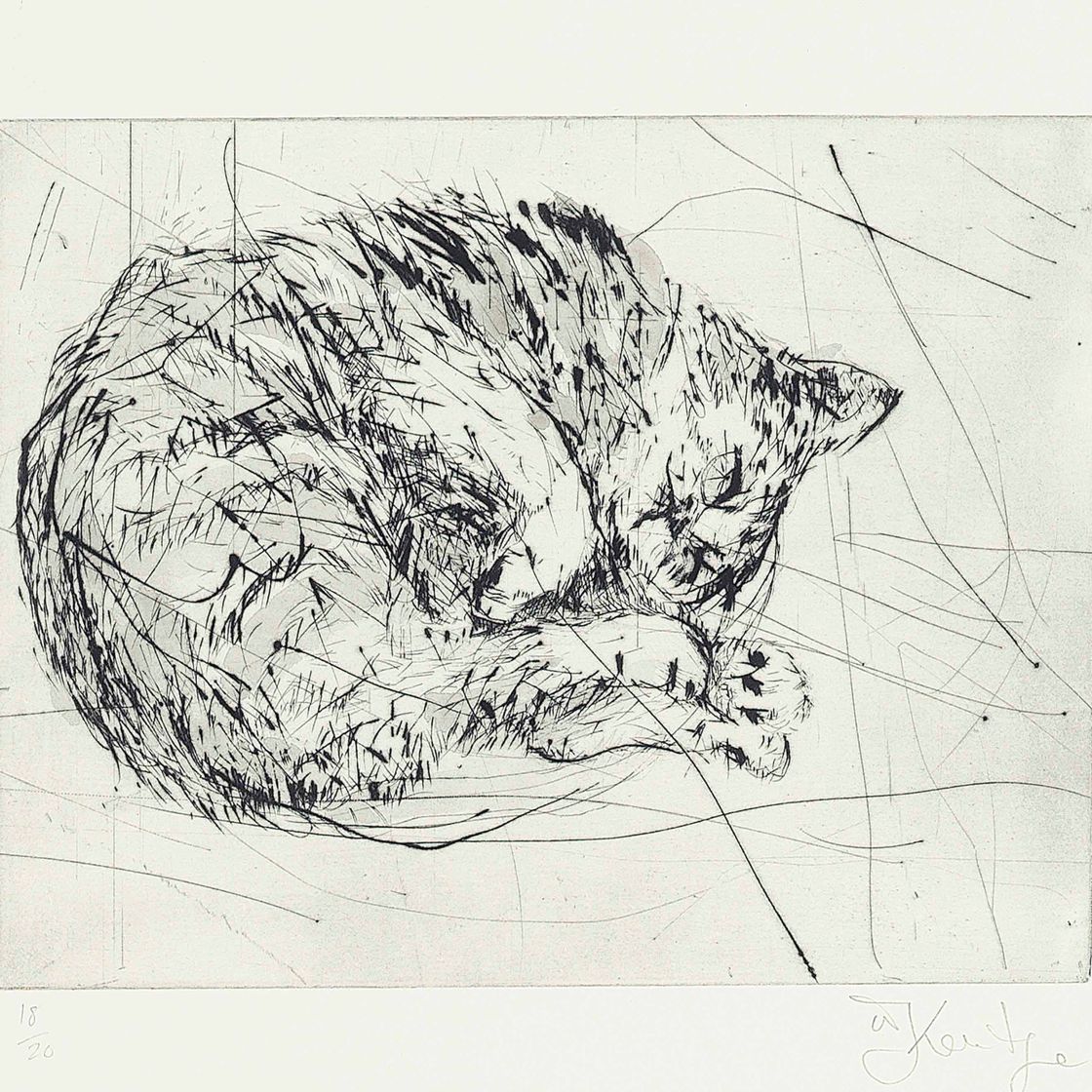 William Kentridge — Кошка