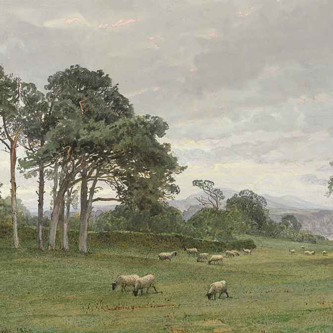 William Trost Richards — Овцы на пастбище