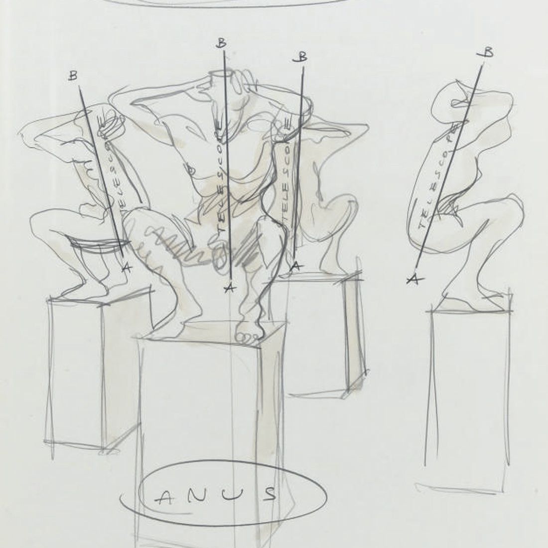 Wim Delvoye — Анус Буше