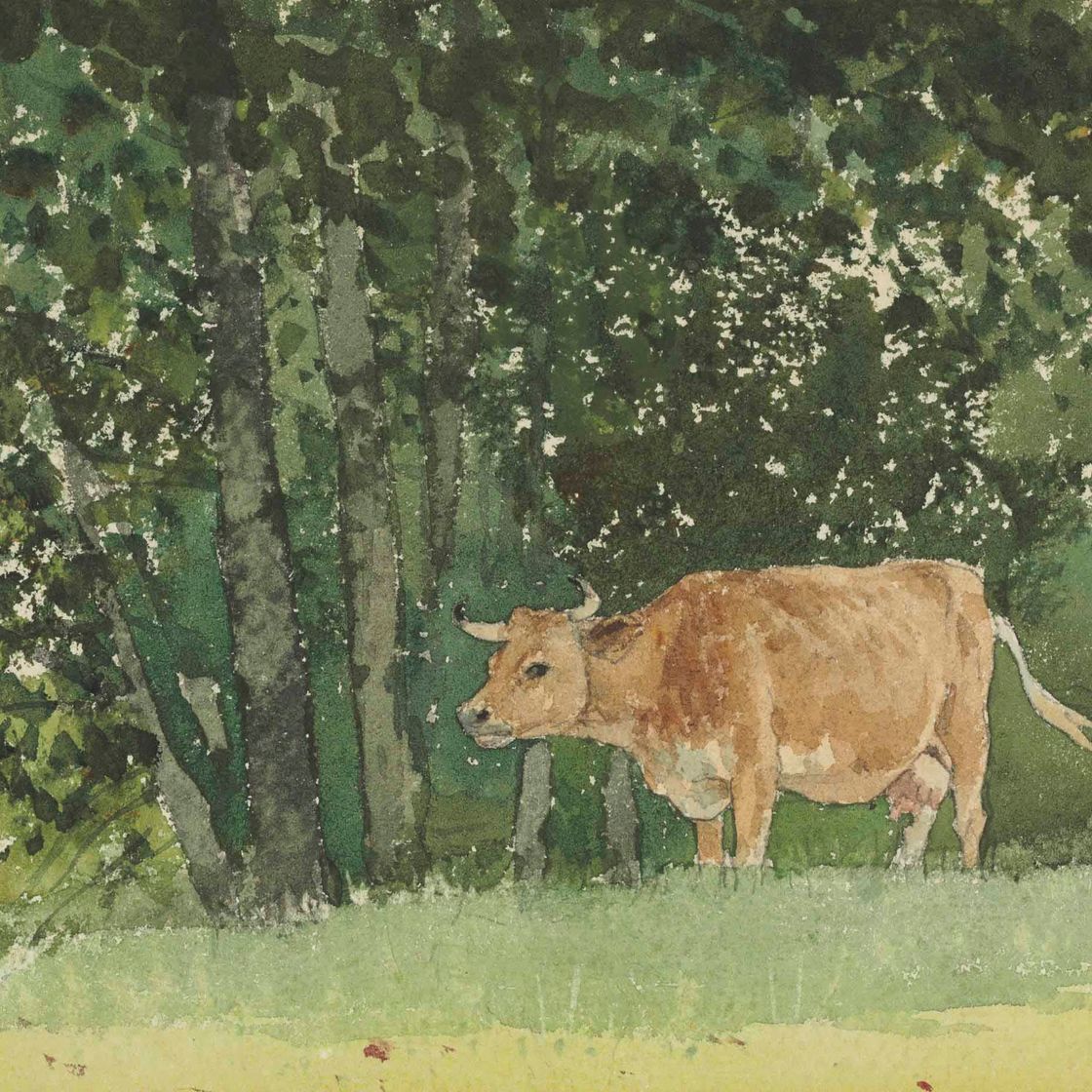 Winslow Homer — Корова на пастбище