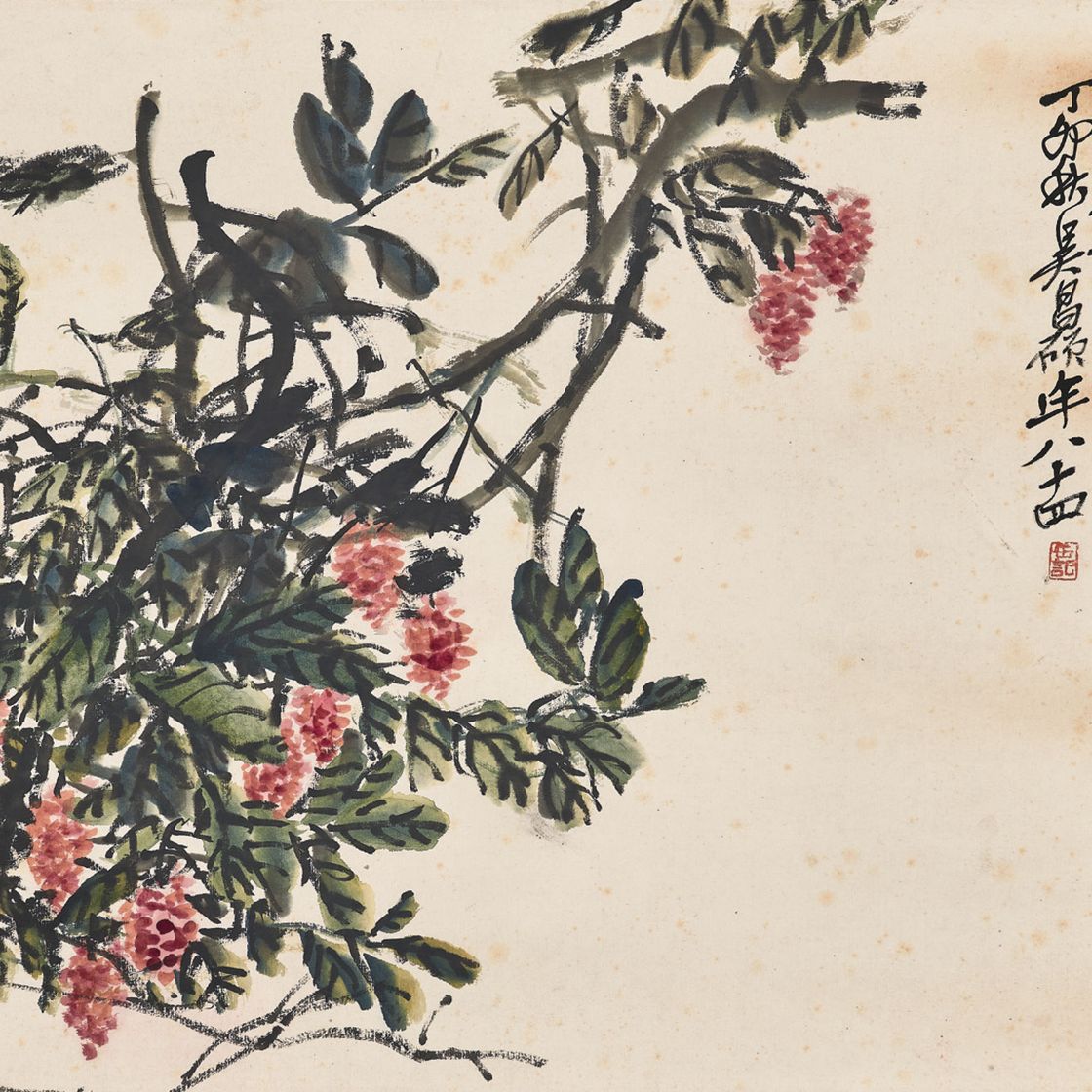 Wu Changshuo — Личи