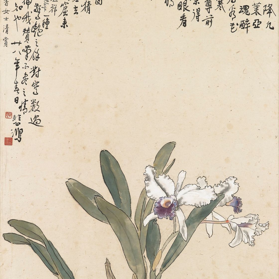 Xu Beihong — Каттлея, изображение 1