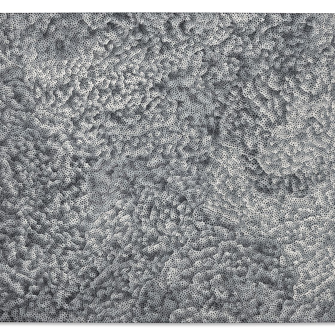 Yayoi Kusama — Просветление Означает Беззаботную Жизнь, изображение 1