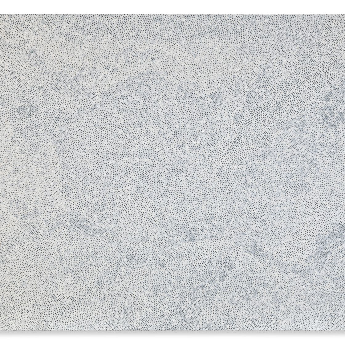 Yayoi Kusama — Инфинити-сети [HSO], изображение 1
