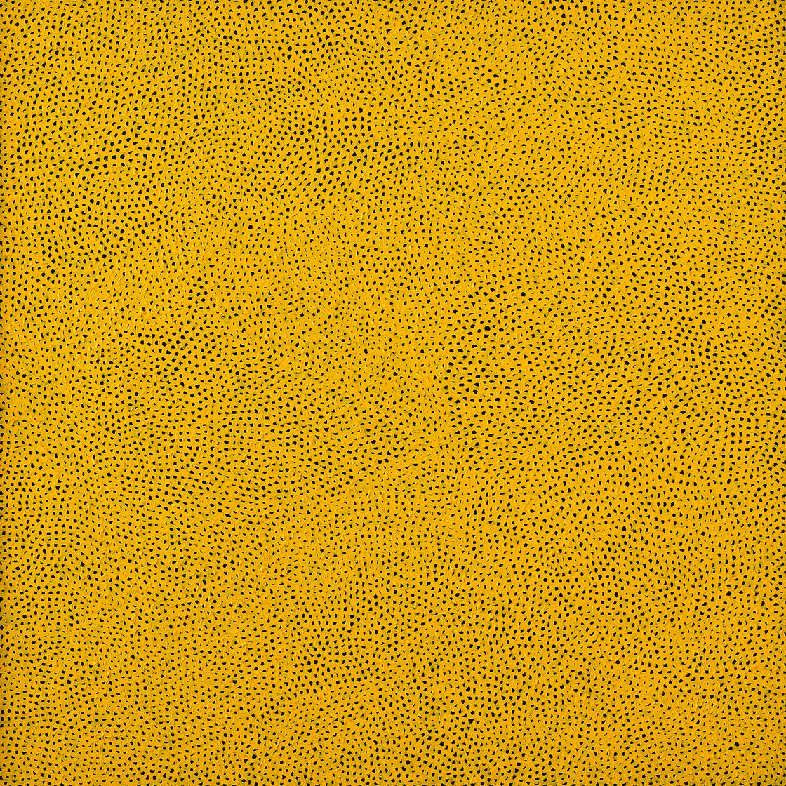 Yayoi Kusama — ИНФИНИТИ-СЕТИ (BAJO), изображение 1