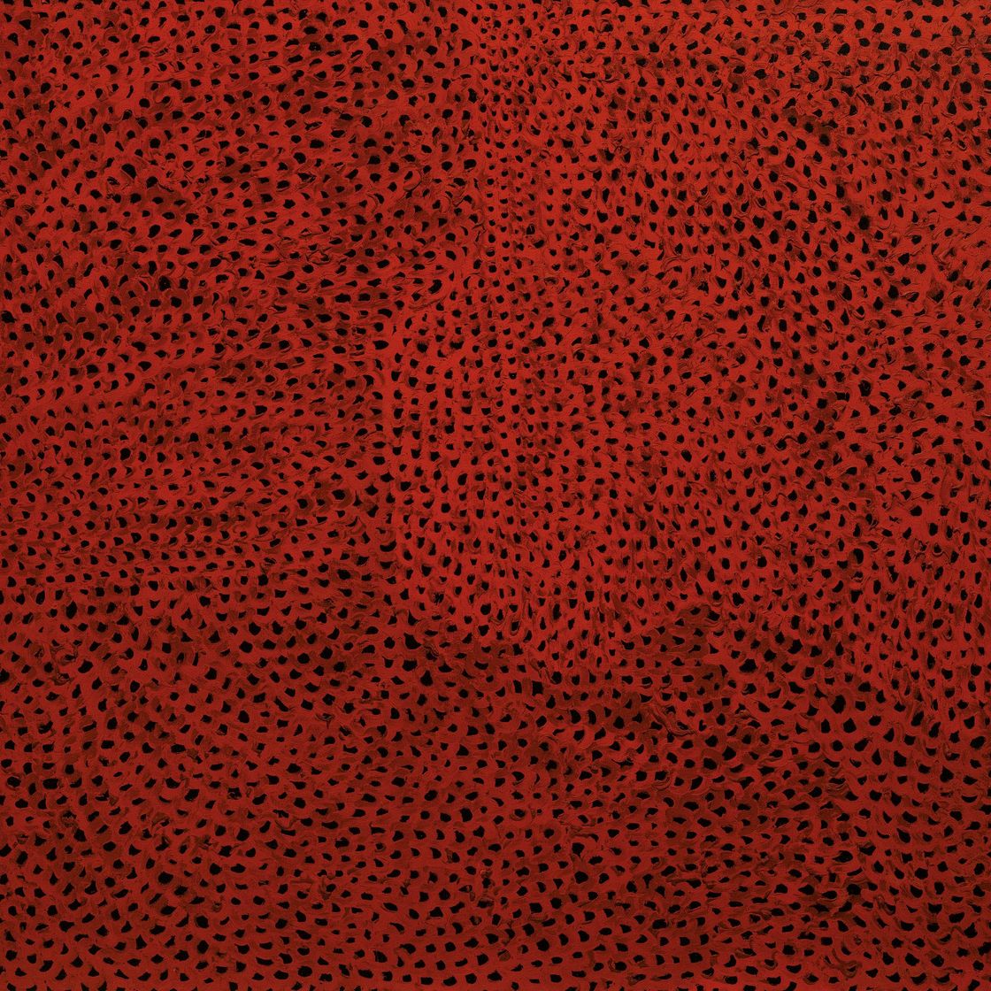 Yayoi Kusama — Без названия