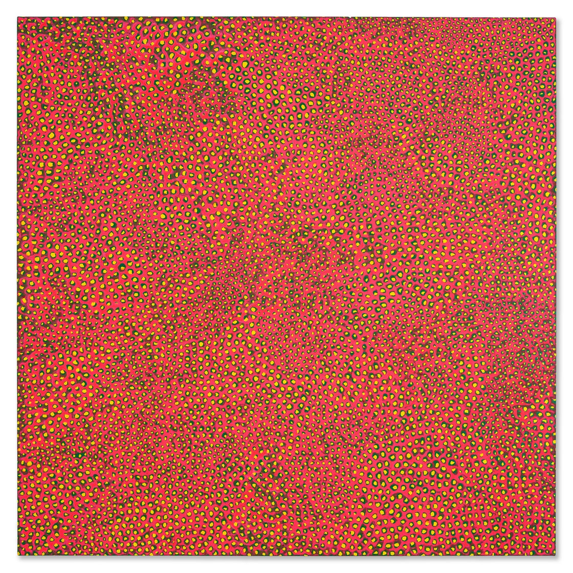 Yayoi Kusama — Сети бесконечности (ACWRTO), изображение 1