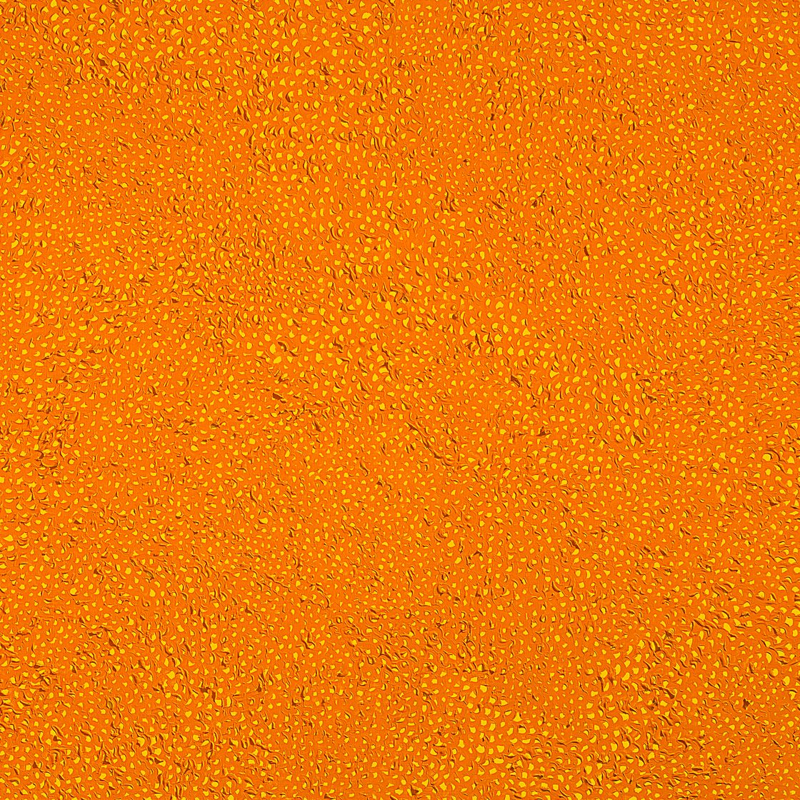 Yayoi Kusama — ИНФИНИТИ-СЕТИ [HOAWD], изображение 1