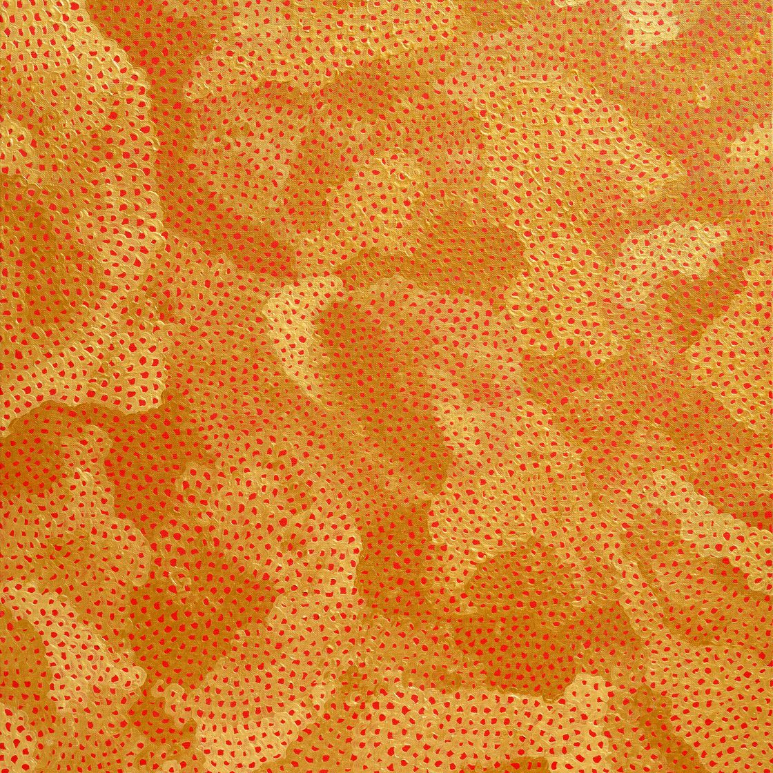 Yayoi Kusama — Сети