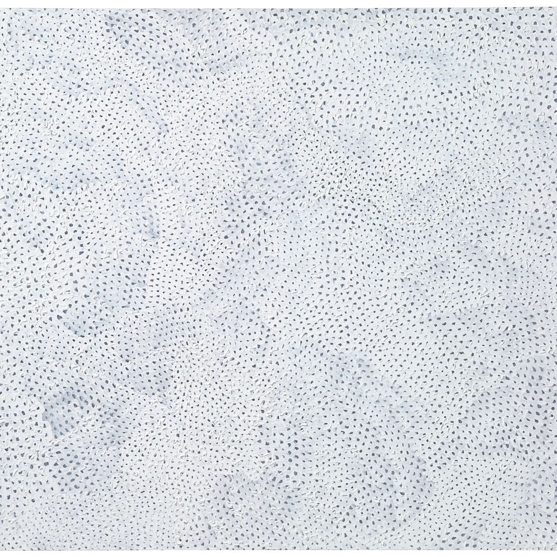Yayoi Kusama — Сети бесконечности