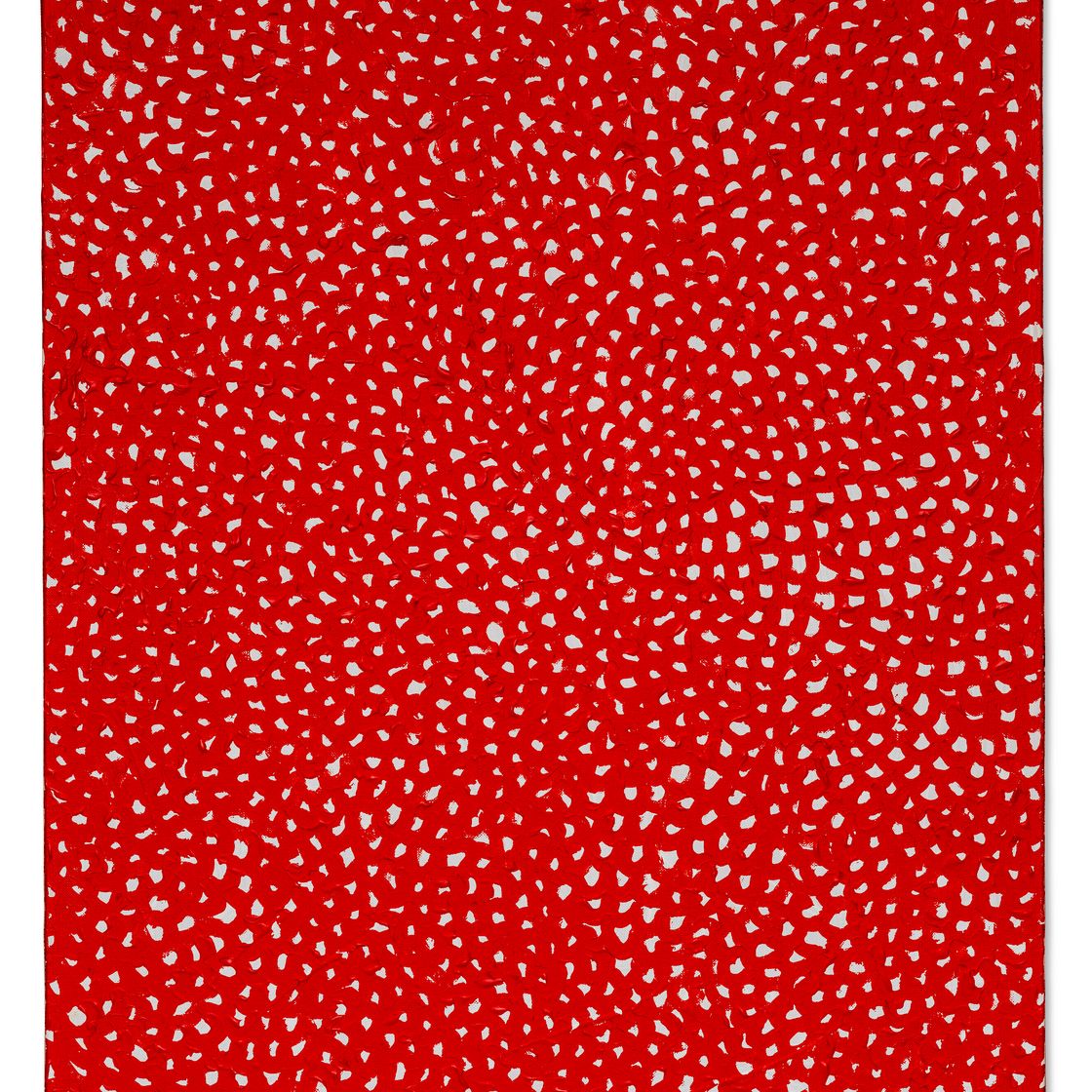 Yayoi Kusama — Сети, изображение 1