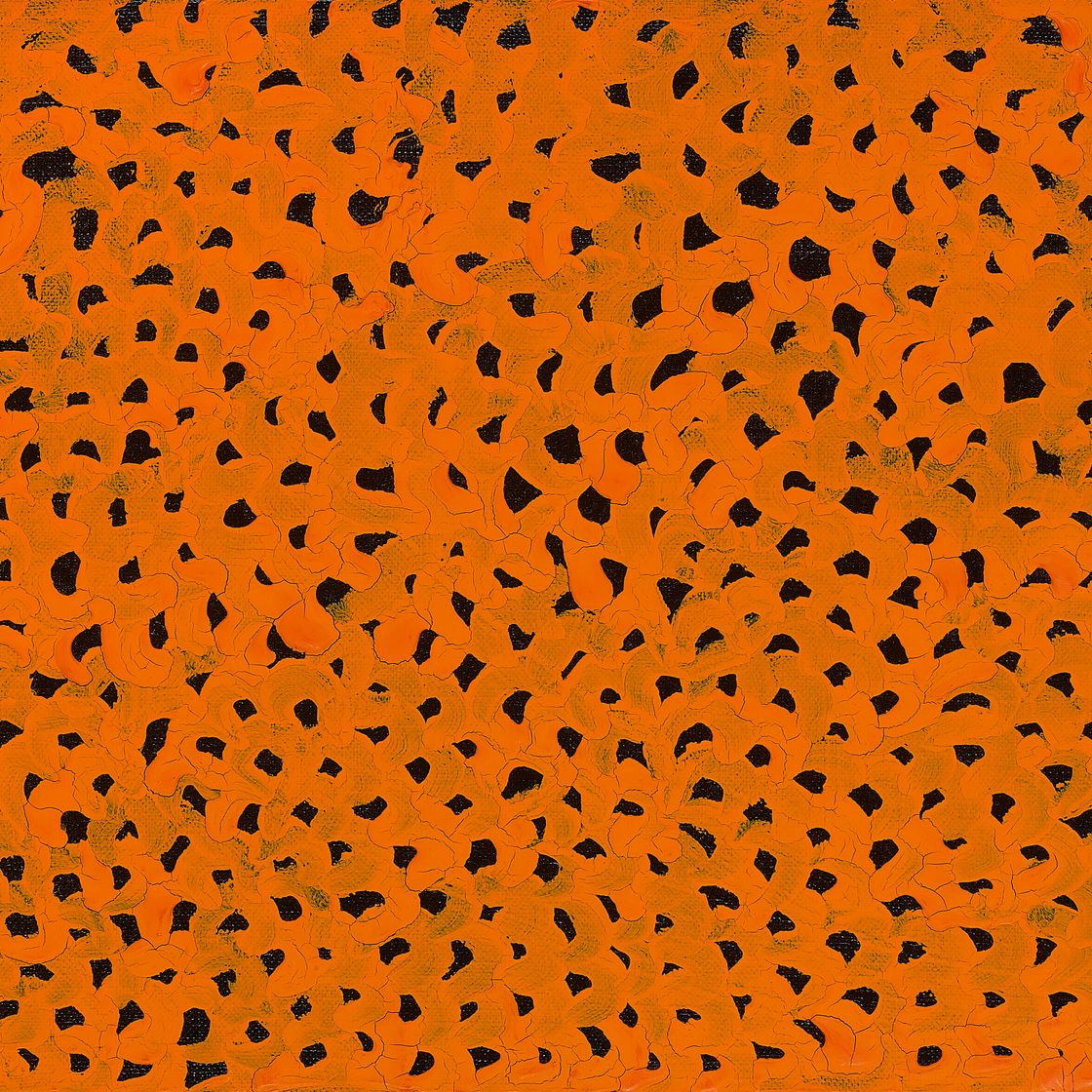 Yayoi Kusama — Сети