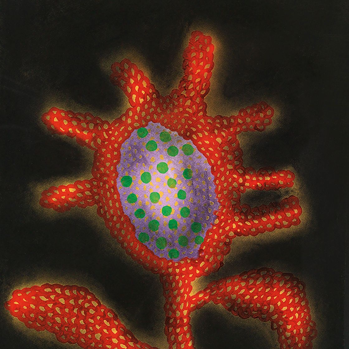 Yayoi Kusama — ЯЕЙ КУСАМА