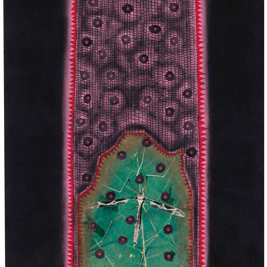 Yayoi Kusama — Дух насекомого