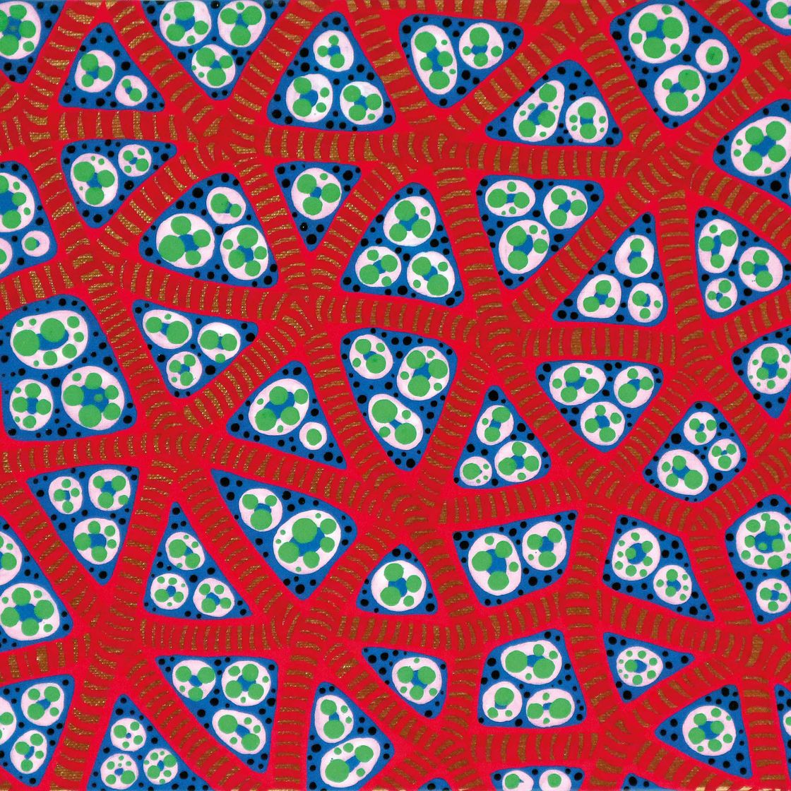 Yayoi Kusama — Город, ХХХХ