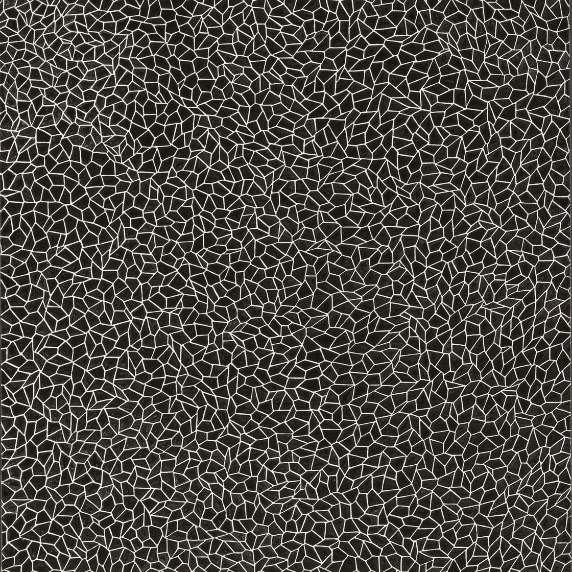 Yayoi Kusama — Сети бесконечности