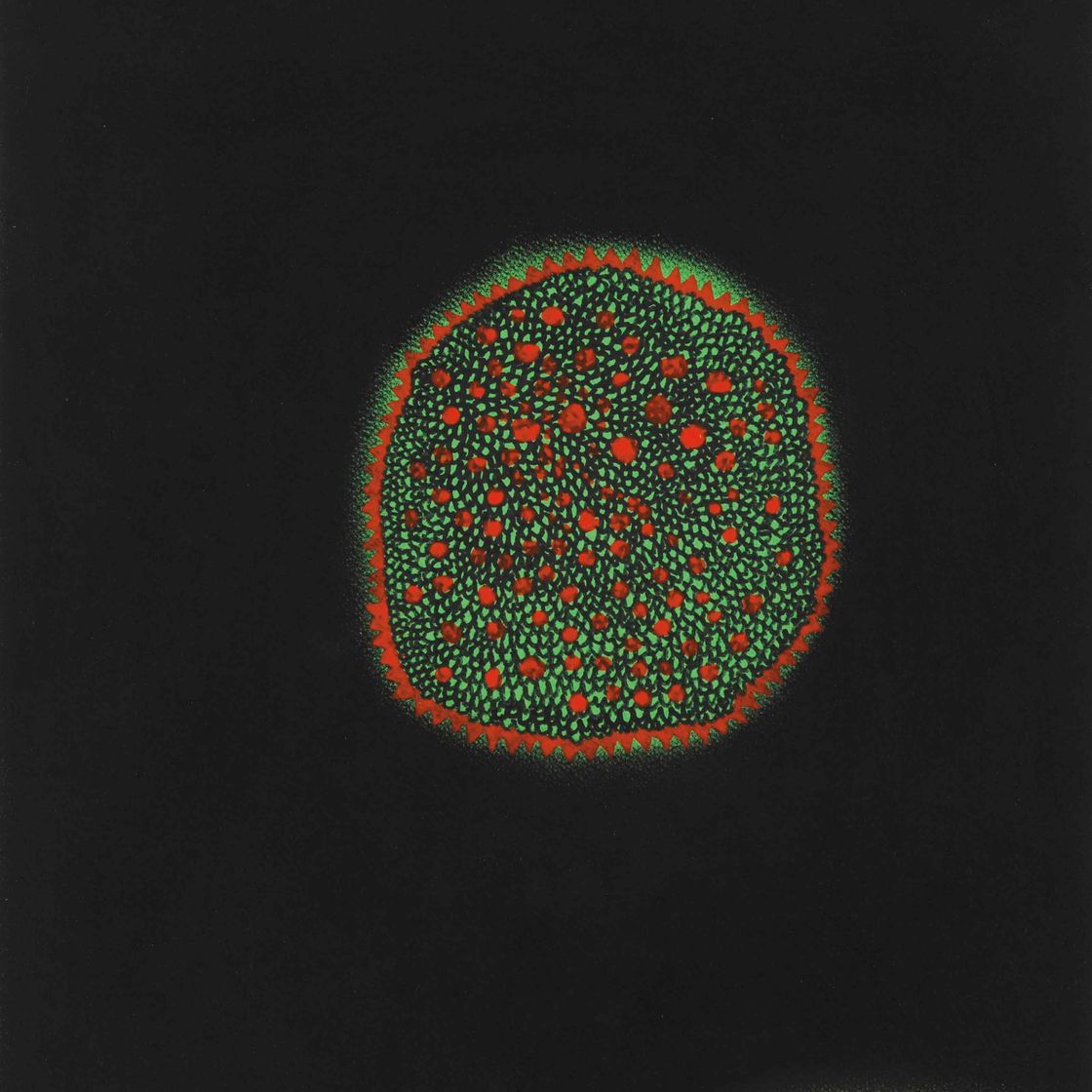 Yayoi Kusama — Раннее лето