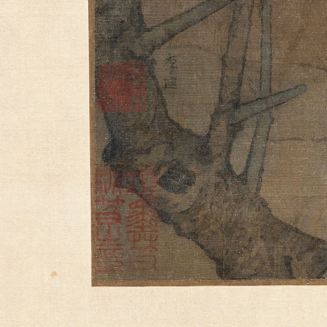Yuan Yuan — Оазо д'Ивер, изображение 3