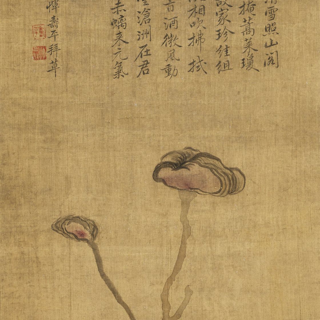 Yun Shouping — Линчжи