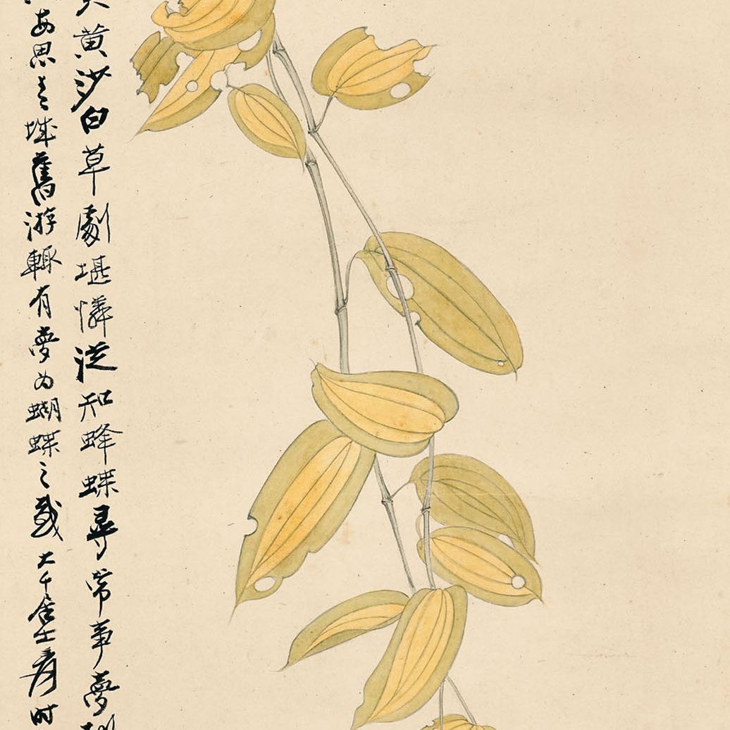 Zhang Daqian — Бабочка и листья