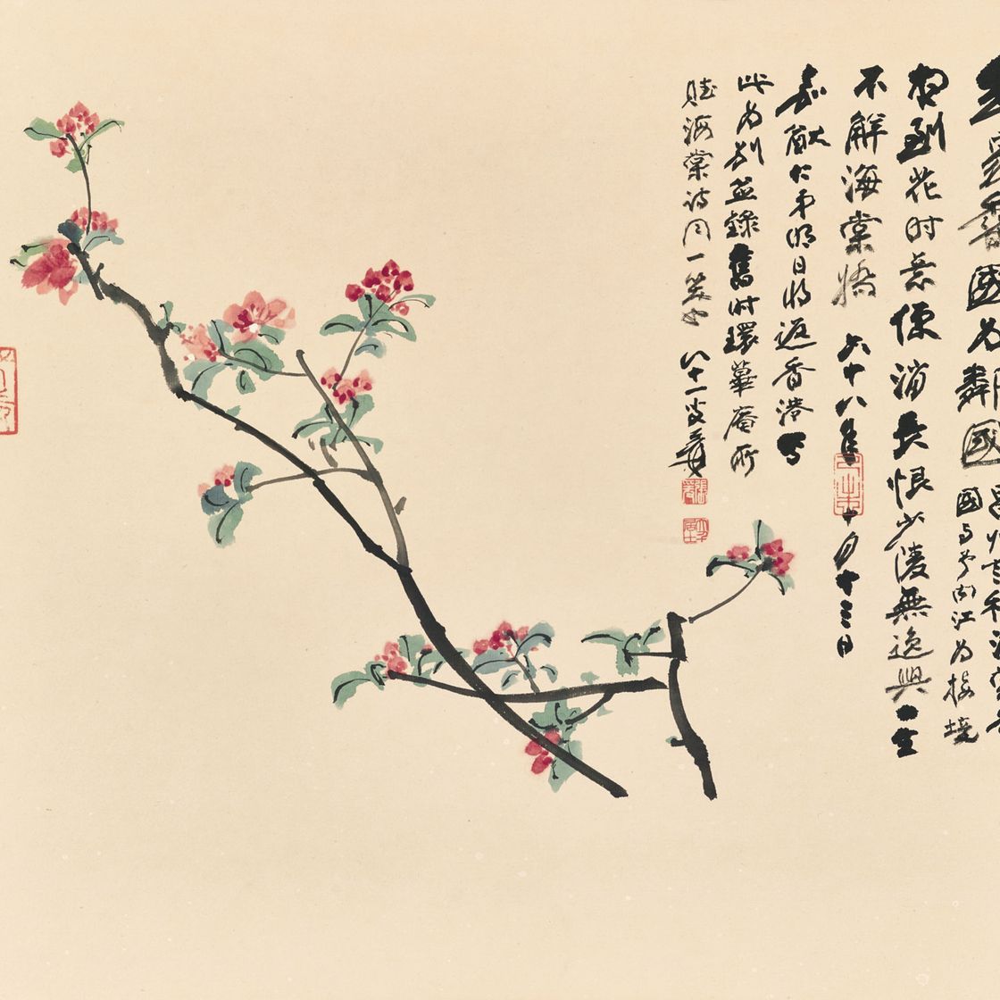 Zhang Daqian — Бегония