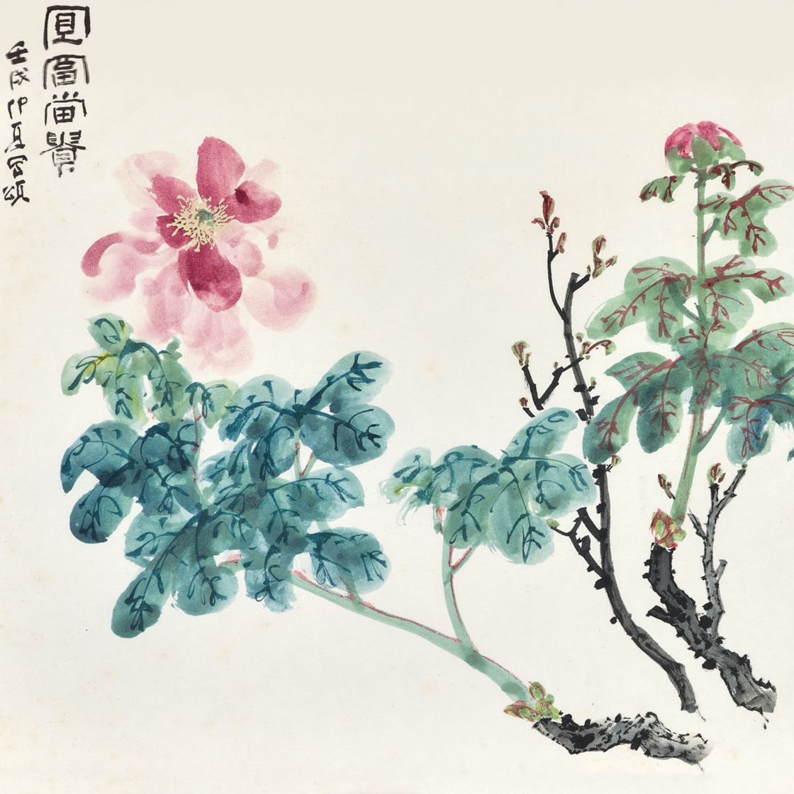 Zhang Daqian — Пион