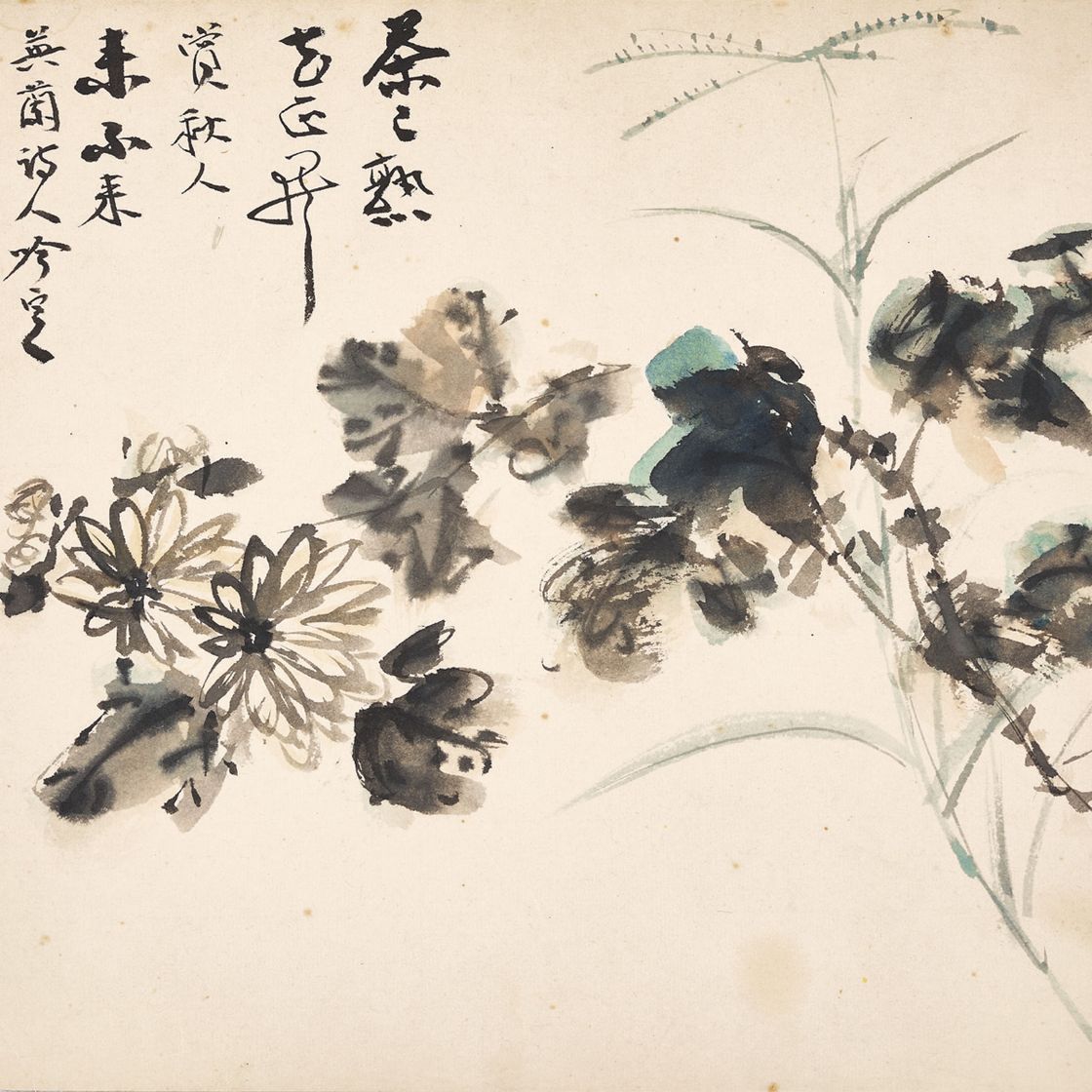 Zhang Daqian — Хризантема
