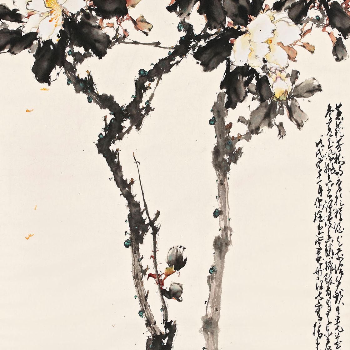 Zhao Shao'ang — Белая камелия
