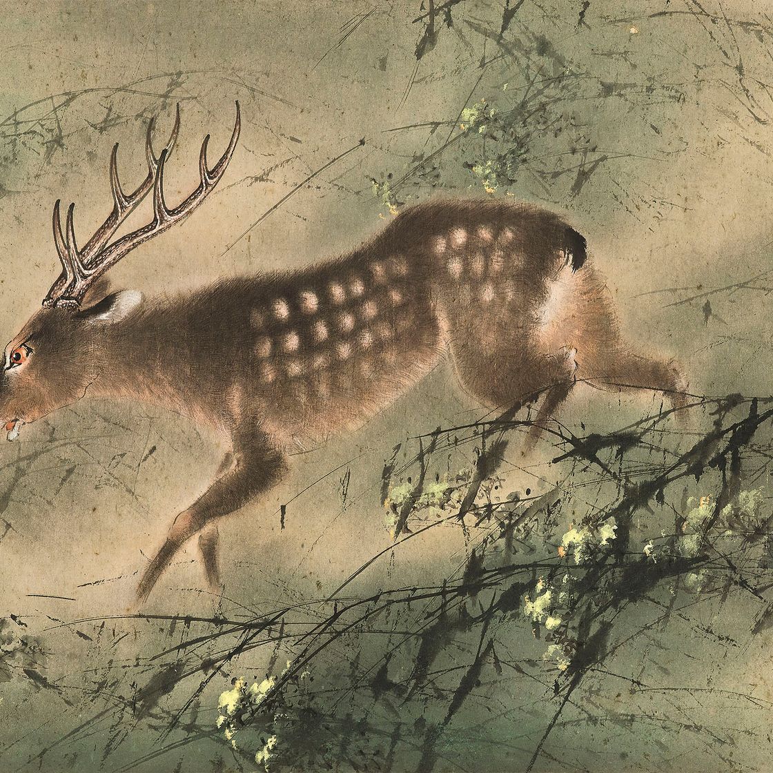 Zhao Shao'ang — Олень