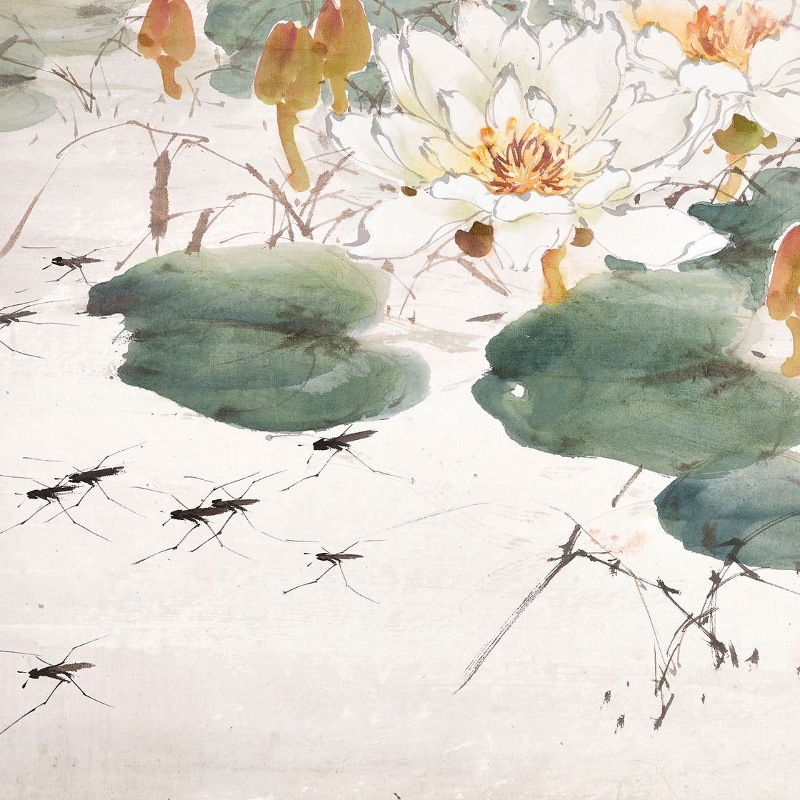 Zhao Shao'ang — Лотос