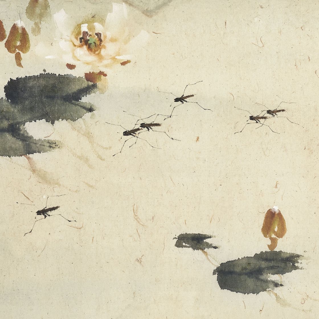 Zhao Shao'ang — Лотос и насекомое