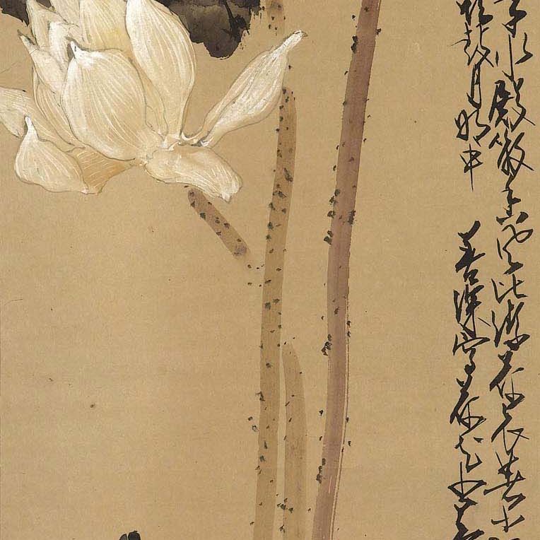Zhao Shao'ang — Лотос