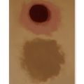 Adolph Gottlieb — Без названия, изображение 1