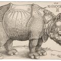 Albrecht Dürer — Носорог, изображение 1