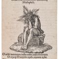 Albrecht Dürer — Страсть к маленькой гравюре на дереве, изображение 38