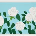 Alex Katz — Белые розы, изображение 2