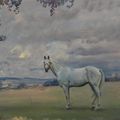Alfred James Munnings — Серый охотник на обширном ландшафте (справа); Этюд для обширного ландшафта (сзади), изображение 1