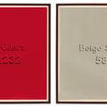 Alighiero Boetti — (i) Rosso Gilera 60 1232 (ii) Бежевый Sabbia 583, изображение 1