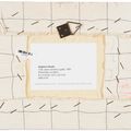 Alighiero Boetti — Тутти и пеши веннеро-галла, изображение 2