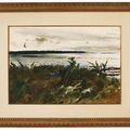 Andrew Wyeth — Одинокая чайка, изображение 2