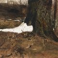 Andrew Wyeth — Снегоступы, изображение 1