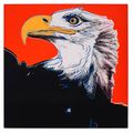 Andy Warhol — белоголовый орел, изображение 1